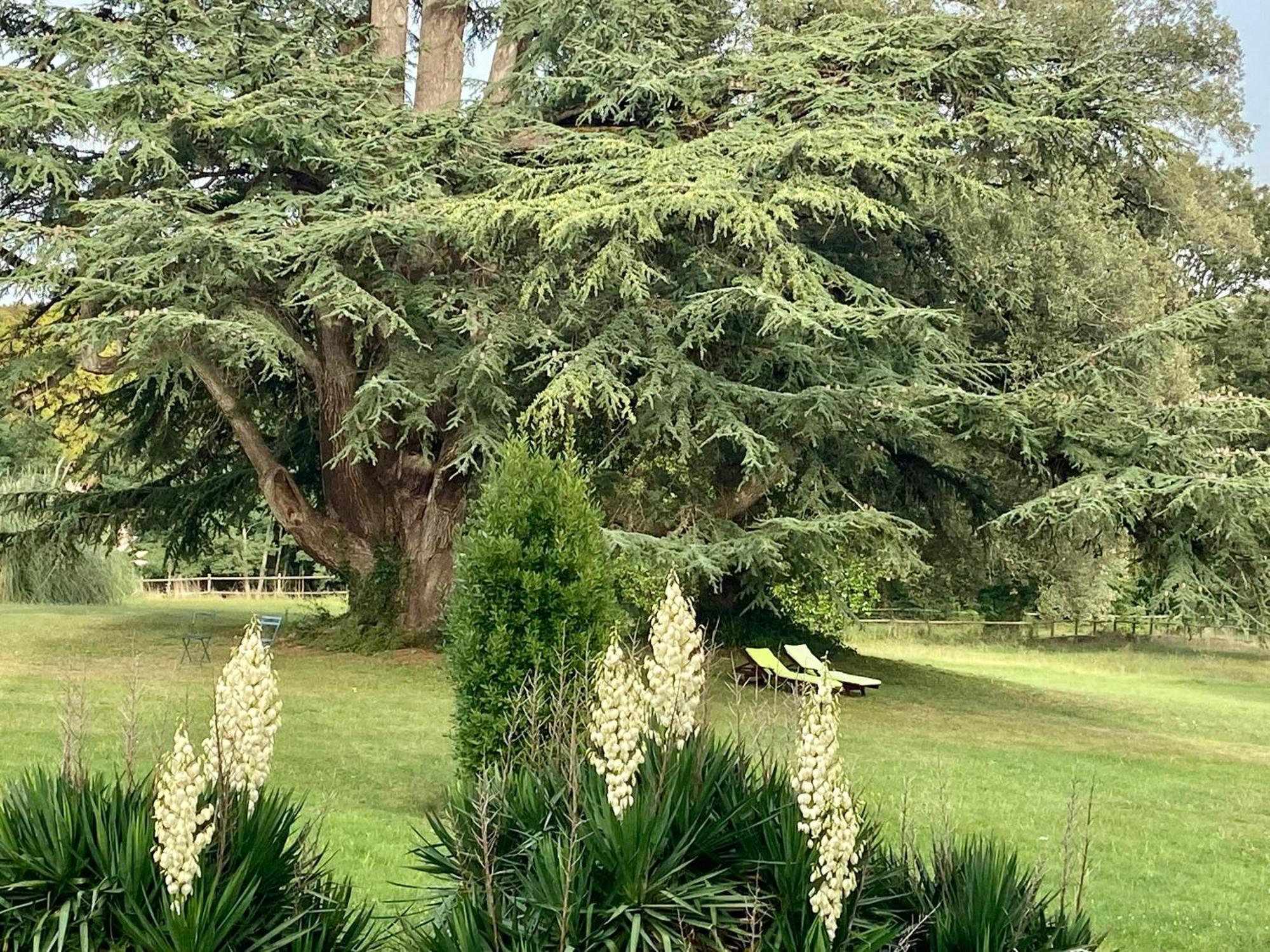 Chateau La Bainerie Tierce Exteriér fotografie